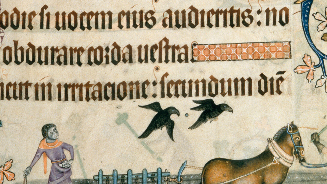 Alto Medioevo. La rotazione delle colture e l'invenzione dell'aratro pesante con le ruote