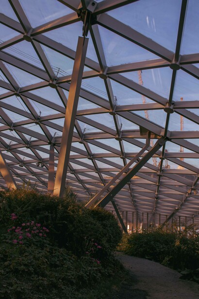Greenhouse with plants