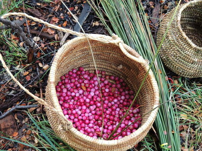 Cesta con frutos del bosque