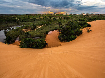 Sunset over the Jalapão Dunes in Brazil, golden sand glowing in the light