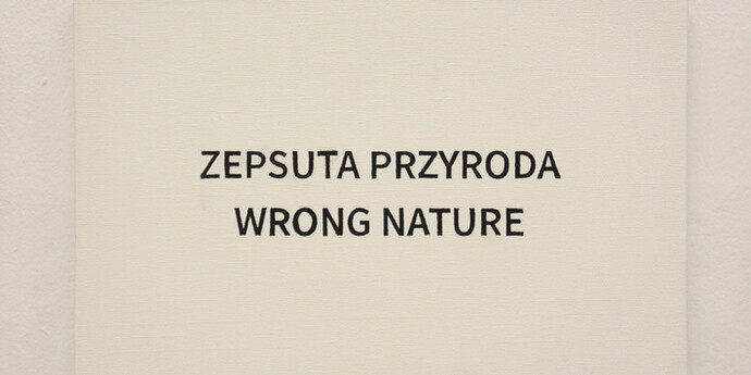 Play on Meanings. Courtesy of MOCAK 