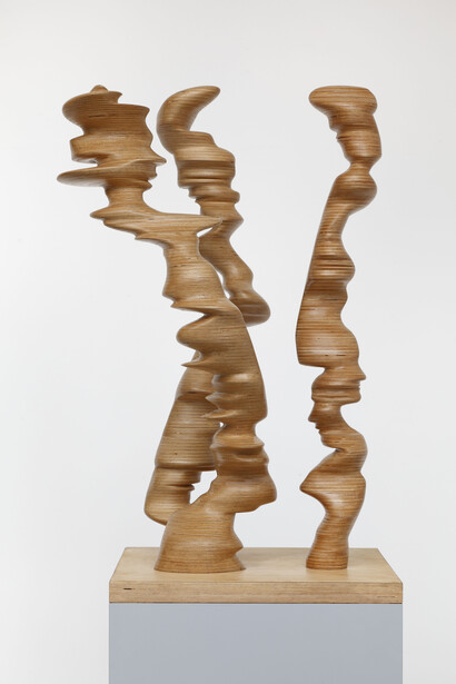 Tony Cragg, Three Standing Figures, 2006, Wood, Photo: Michael Richter © the artist, Courtesy of Galerie Thaddaeus Ropac

