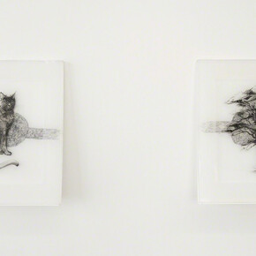 Camille Schefter. Courtesy of Ochi Projects