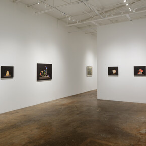Isabelle du Toit, Vivarium, exhibition view. Courtesy of Cris Worley Fine Arts