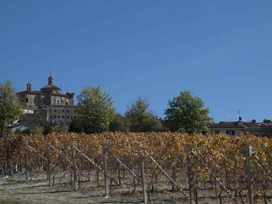 Novello is a municipality in Cuneo Province in the Piedmont region of northern Italy by Federico Moznich