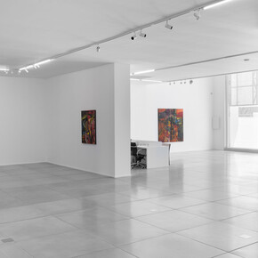 Jorge Guinle Filho, Infinito, exhibition view. Courtesy of Galeria Simões de Assis