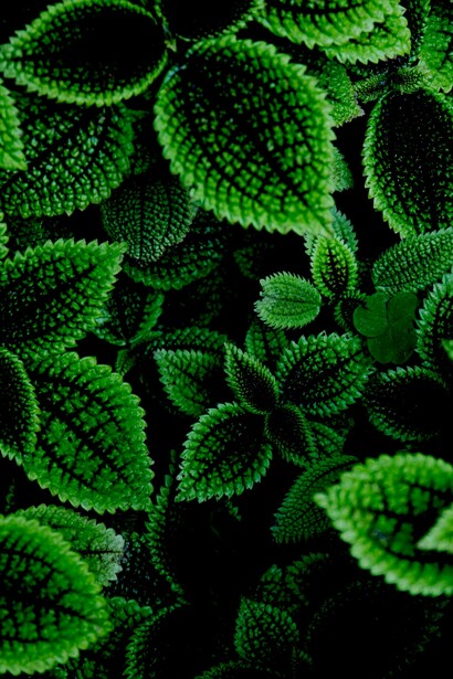 El color más bonito del mundo