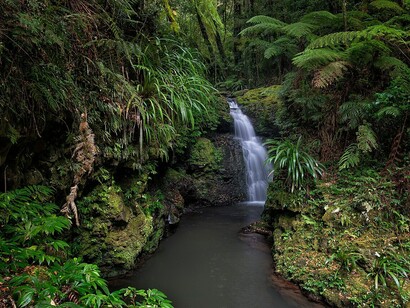 Una piccola cascata sul sentiero Albert River Circuit Track, Parco Nazionale di Lamington, Queensland, Australia