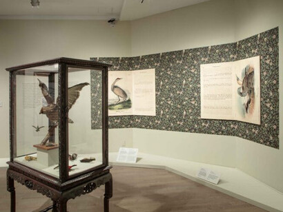 Risham Syed, Destiny fractured, exhibition view. Courtesy of the Newark Museum of Art