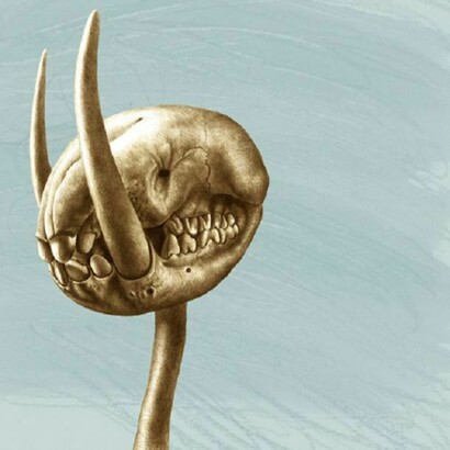 José Molina. The damned harvest / La cosecha maldita / La messe maledetta.