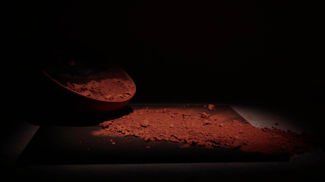 Our Time for a Future Cari. Courtesy of Kiran Nadar Museum of Art