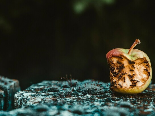 La sostenibilidad fracasa donde la logística olvida el regreso: producimos, distribuimos y consumimos en exceso, pero aún no sabemos cómo hacer volver lo que el sistema deja atrás