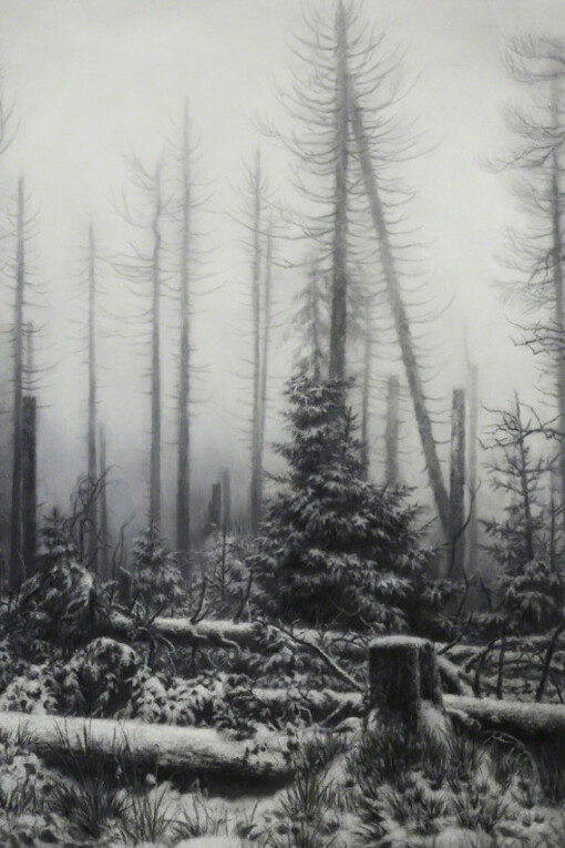 Monochrome. Courtesy of Barnard Gallery