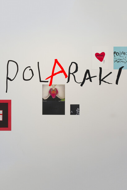 Araki Nobuyoshi, Polaraki, vue d'exposition. Avec l'aimable autorisation du Musée Guimet