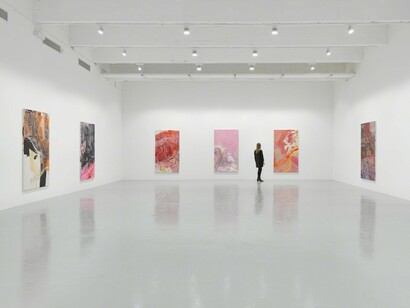 Rita Ackermann, Kline Rape, Exhibition view. Courtesy of Hauser & Wirth
