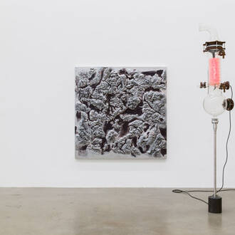 Thomas Feuerstein. Courtesy of Sexauer