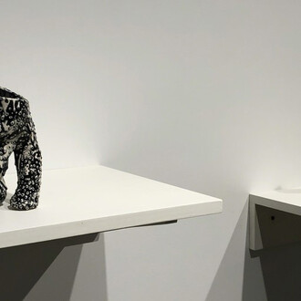 Elisa D'Arrigo. Courtesy of Elizabeth Harris Gallery