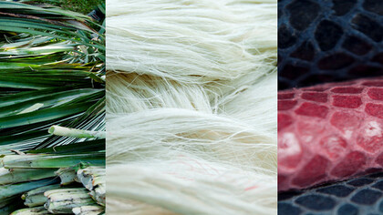 From pineapple leaves to textile