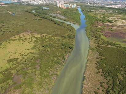 Lagoa do Camorim: esgoto e cianobactérias