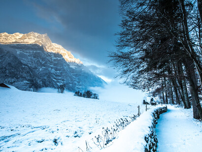 Christmas Carols: a ‘Judgment-Free’ Singing Territory