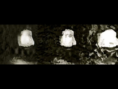 Anna Ridler, Fall of the House of Usher I, 2017, single-channel video installation (made with a series of interconnecting GANs). Courtesy of the artist