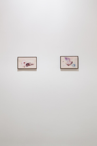 Neue Alt Brücke presents Anna Zacharoff, Thumb of the Diver, 2014, Vilma Gold, London, Installation View, Courtesy Vilma Gold, London