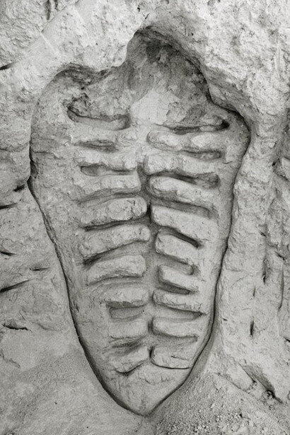 Ana Mendieta; Itiba Cahubaba (Antigua sangre materna), 1981