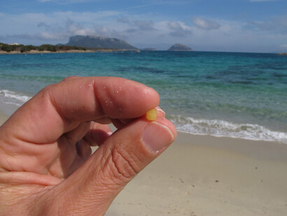 Microframmenti di plastica trovati nel mare