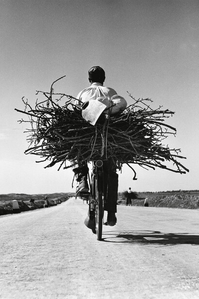 Fulvio Roiter, Sicilia, Sulla strada Gela, Niscemi, 1953 © Fondazione Fulvio Roiter