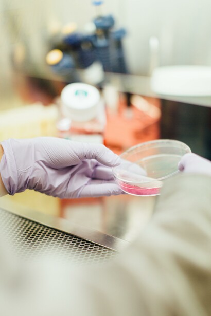 Laboratorio biologico