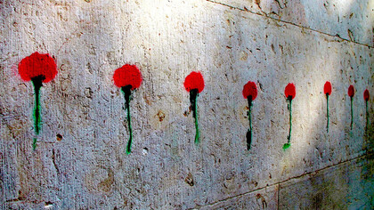 Cravos Vermelhos – Avenida da Liberdade, Lisboa 