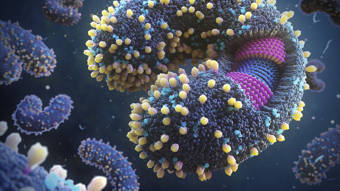 Specie di phylum Taraviricota sono state trovate in tutti gli oceani