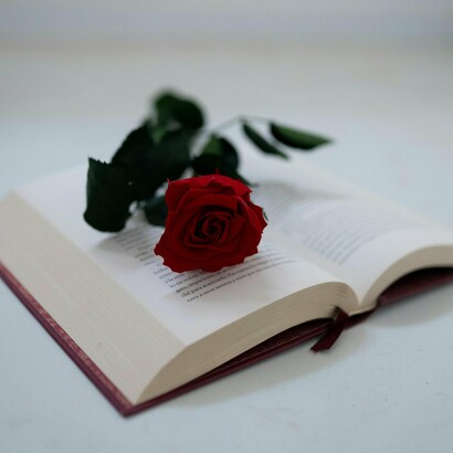 L'amour est souvent tragique dans les pages des prix Goncourt