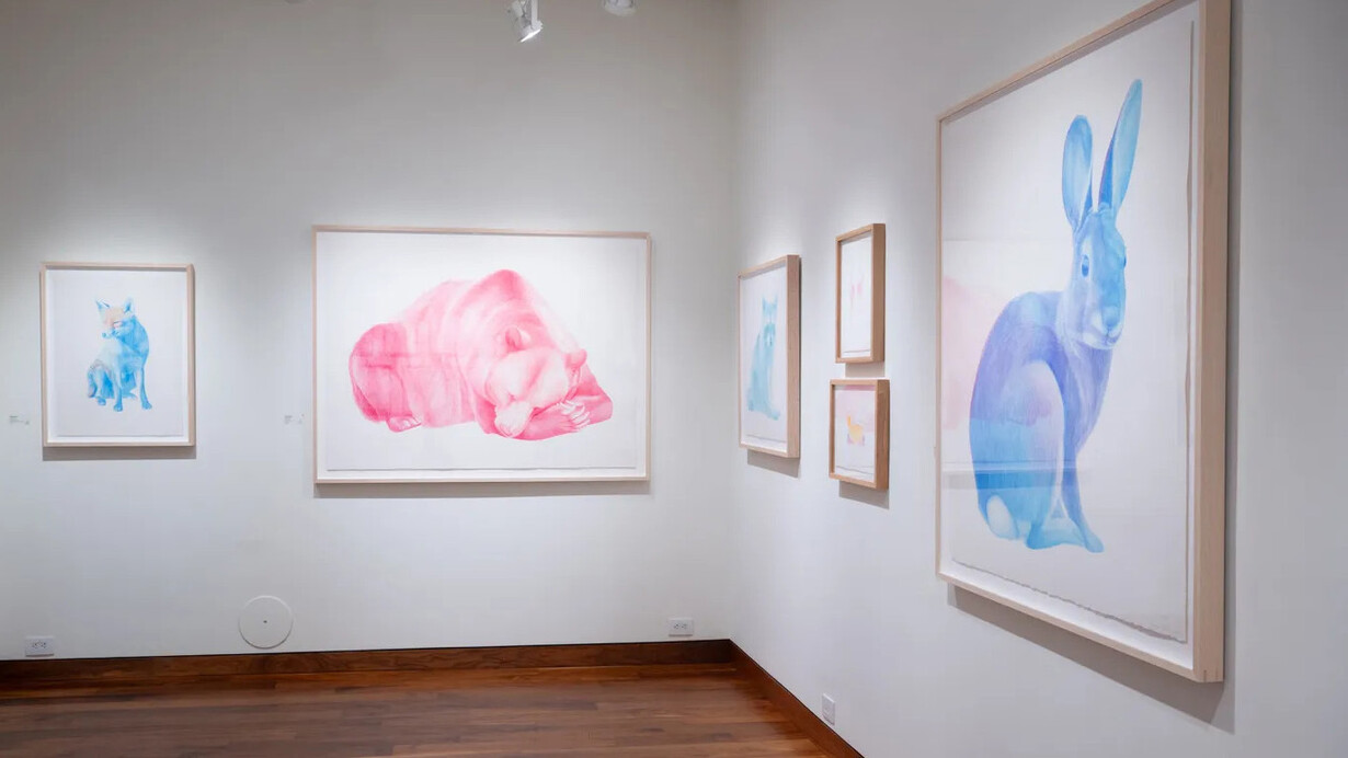 Steve Snell, exhibition view. Courtesy of Momentum Gallery