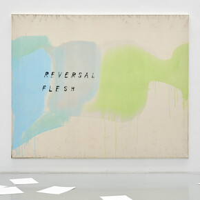 Fabian Herkenhoener, Reversal Flesh, 2020, dust, acrylic binder, acrylics, pencil, spray paint on canvas, 195x230cm, Photo Mareike Tocha, courtesy Priska Pasquer, Cologne. 