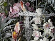 Mat Collishaw, Crystal Gaze No. 5, 2012, fotografia lenticolare, specchio, luci LED, cornice in resina, 86x105,5cm