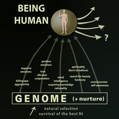 Being human seen as a coacervate of genetic determinants, which here in the illustration are heuristically separated from each other, in reality to be considered all mixed together in each of us – man being indeed a wild mixture of positive and negative traits.

