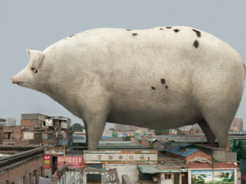 Break With Convention. Courtesy of Pékin Fine Arts