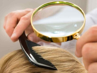 Buscando piojos en el pelo de una niña