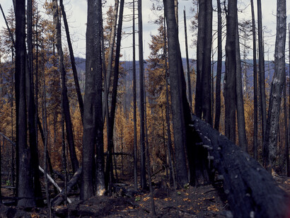 Manny Wood Lynes-Ford, In wake of, 2024. Courtesy of Gallery 44