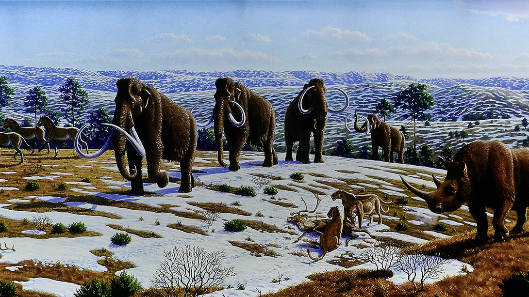 A group of prehistoric hunters confronts a gigantic mammoth in a lush, sunlit forest setting