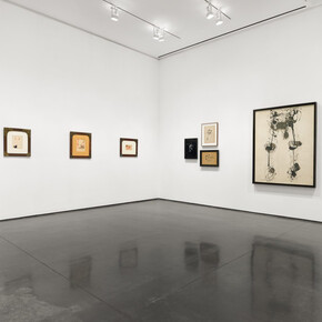 Carol Rama, The tongue, the eye, the foot, exhibition view. Courtesy of Aspen Art Museum