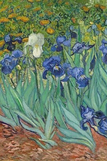 Vincent van Gogh, Iris