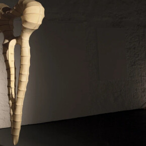 Penumbra. Courtesy of Galeria Nara Roesler