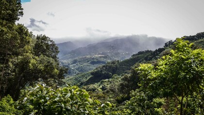 Tarrazú, Costa Rica, a region known for its volcanic soils and high altitudes
