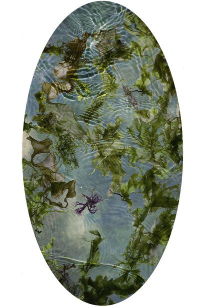 Susan Derges, Tide Pool 26, Unique C type print, 121.9 x 64.5 cm, 48 x 25.4 inches