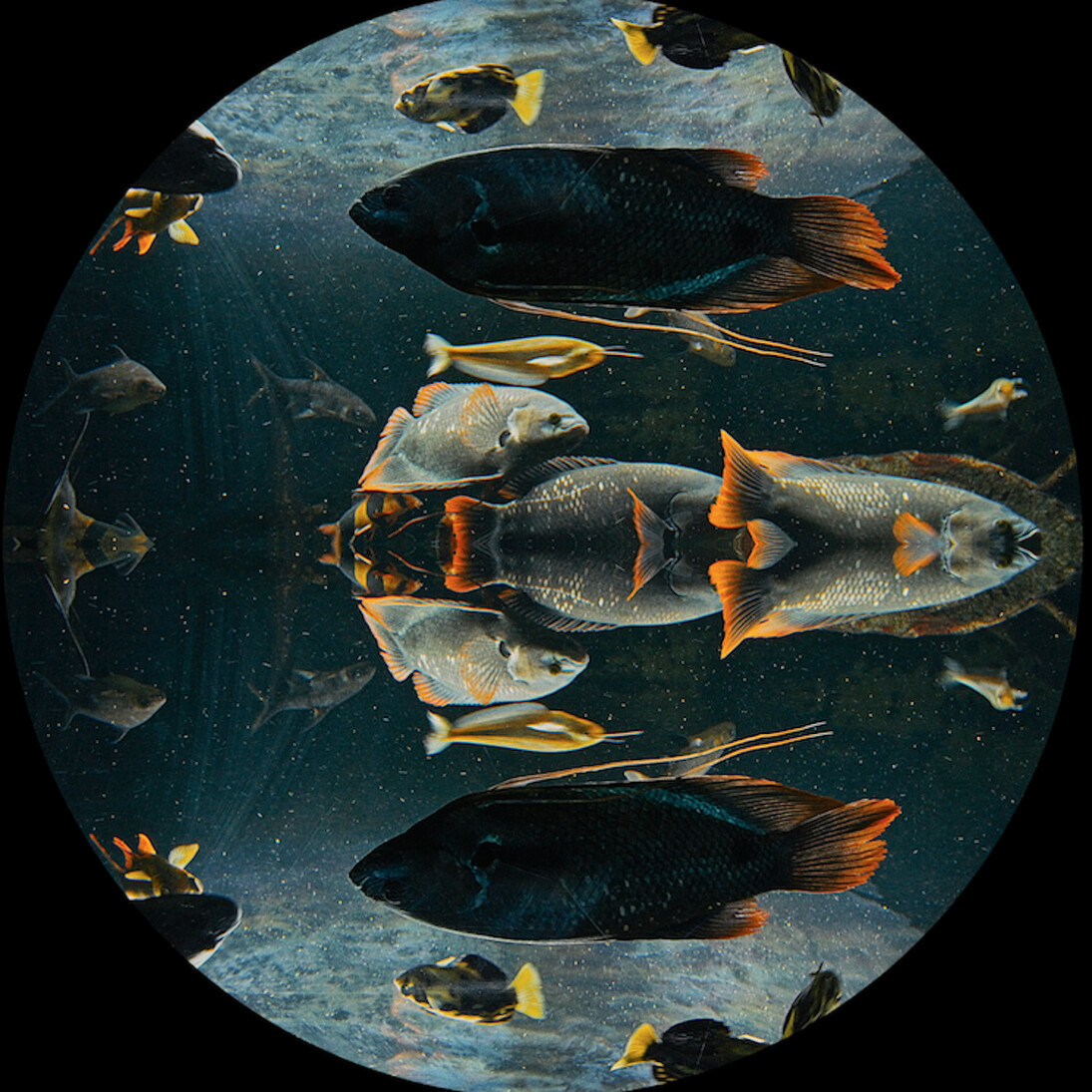 Theo Eshetu, The Slave Ship, 2015, video installation. Image © Theo Eshetu, courtesy of the artist and Tiwani Contemporary.
