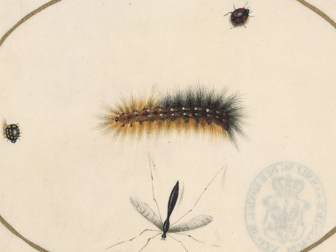 The Charm of the Small. Courtesy of Gemäldegalerie