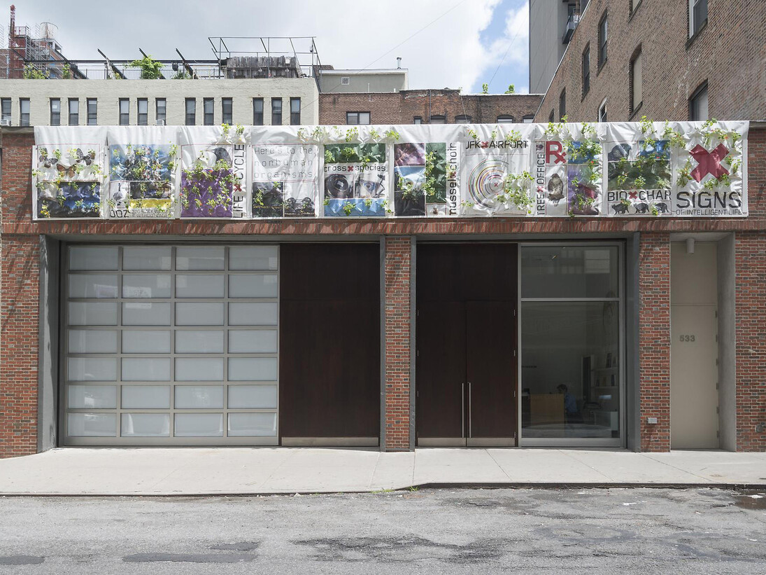 Natalie Jeremijenko, FlowerxFacade, an xClinicFarmacy project to inflorescence the barren urban structures, 2011 Tyvek, soil, polyacrylamide gel; nasturtiums (Tropaeolum majus, T. polyphyllum), day lilies (Hemerocallis lilioasphodelus), visiting urban pollinators