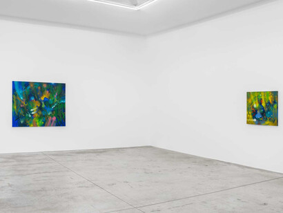 Carlos Jacanamijoy, Olor a tierra, vue d'exposition. Courtoisie d'Almine Rech